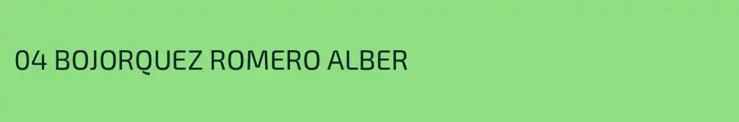 04 BOJORQUEZ ROMERO ALBER